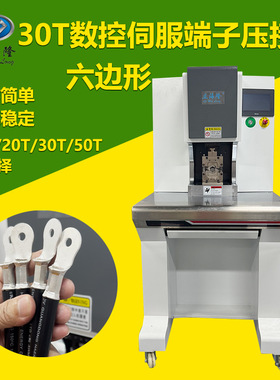 立海隆 30T吨数控伺服端子机新能源大平方线束加工铆压智能压接机