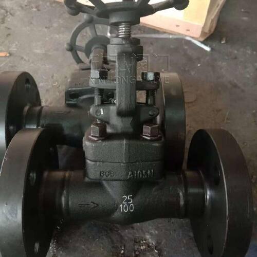 J45Y锻钢Y型截止阀 切断 高压 波纹管 低温 欣弘阀门