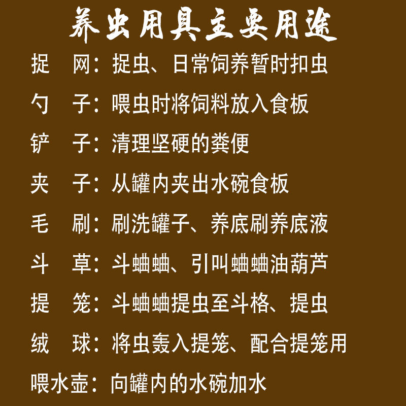 蛐蛐蟋蟀黑虫油葫芦鸣虫饲养罐用品工具捉网夹子毛刷斗草提笼套装