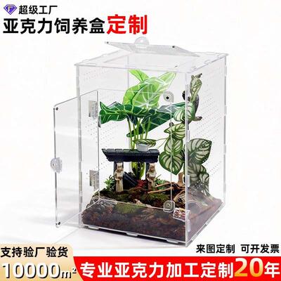 定制亚克力饲养盒透明磁吸跳蛛饲养箱昆虫围栏螳螂栖息地
