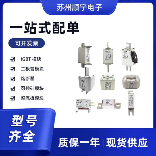 170M5196  170M5197  170M5198 熔断器保险丝  全新原装 型号齐