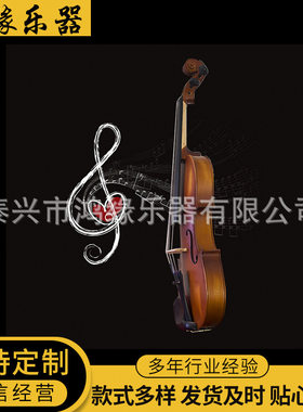 初学小提琴入门级4/4小提琴实木提琴普及合板小提琴独演奏乐器1/8