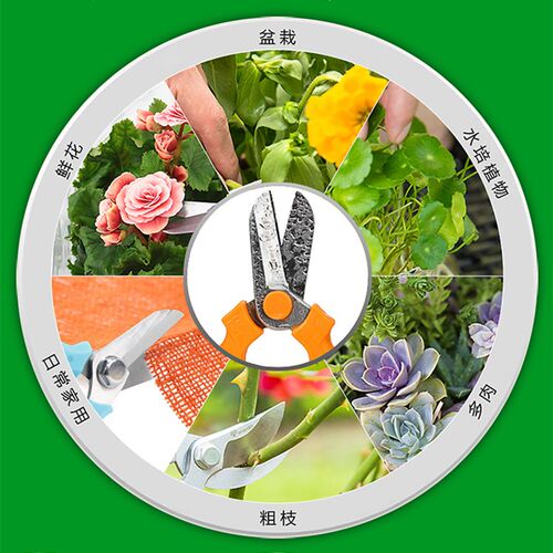 花艺剪刀 花店鲜花剪枝 家庭园艺修枝剪花艺师插花修花专用剪子