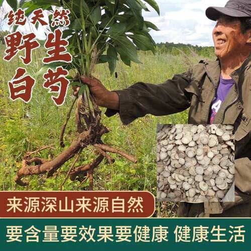 白芍中药材正品野生500g老白勺中药材白芍粉白术白茯苓白芷甘草片