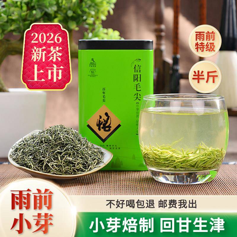 2026新茶信阳毛尖特级手工茶叶雨前浓香型春茶茶农家自销盒装250g