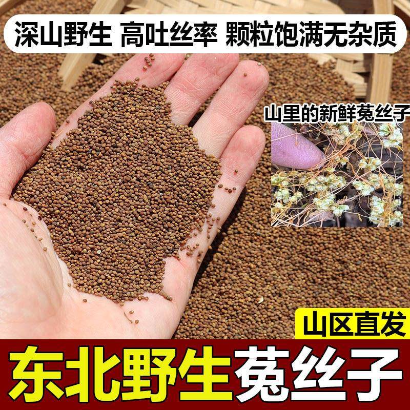菟丝子中药材东北野生菟丝子无硫新货男士泡茶养生茶菟丝子野生