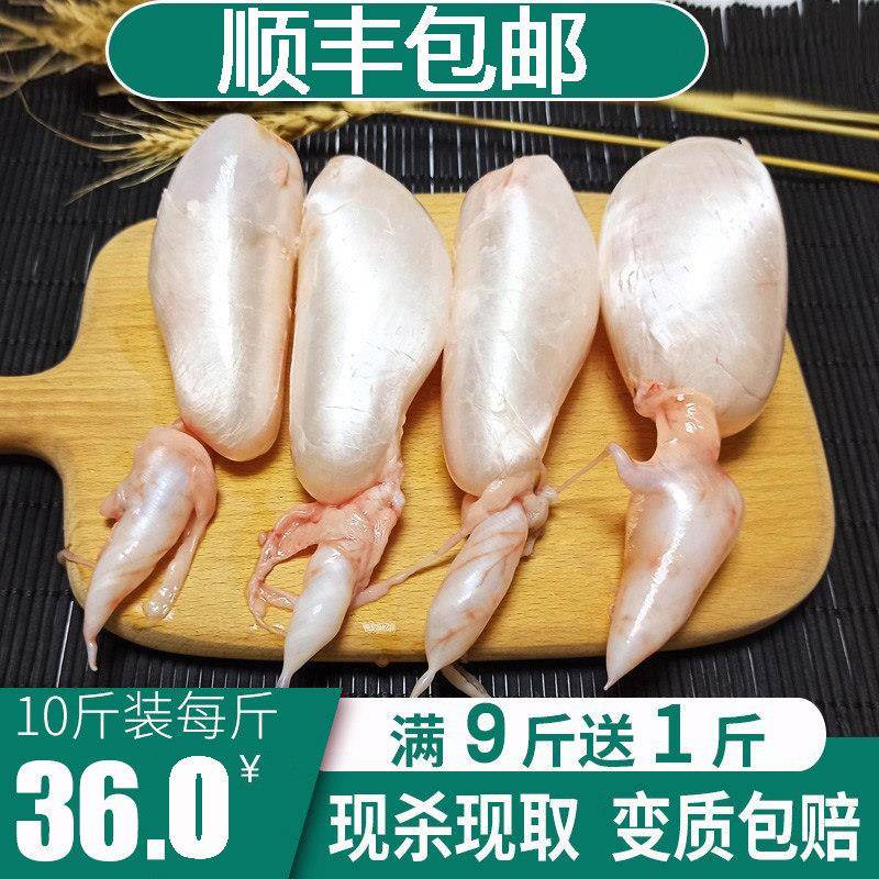 鱼泡鱼肚新鲜现杀白鲢草鱼杂鱼卵淡水鱼鳔花胶鱼胶冷冻2斤装商用