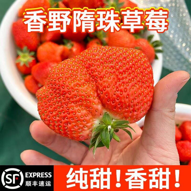 山东隋珠香野草莓新鲜水果当季整箱孕妇水果非丹东章姬日本纯甜