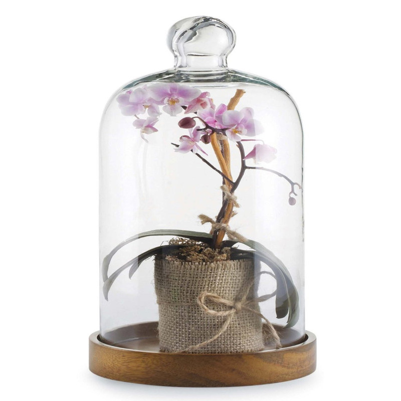 透明玻璃罩欧式储物罐摆件食品罩蛋糕罩珠宝景观展示罩厨房保鲜罩