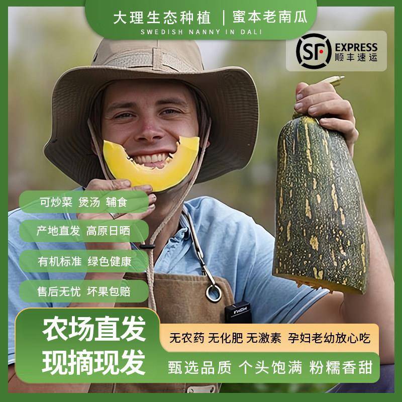 云南大理蜜本老南瓜生态种植粉糯宝宝副食品新鲜蔬菜现摘顺丰营养