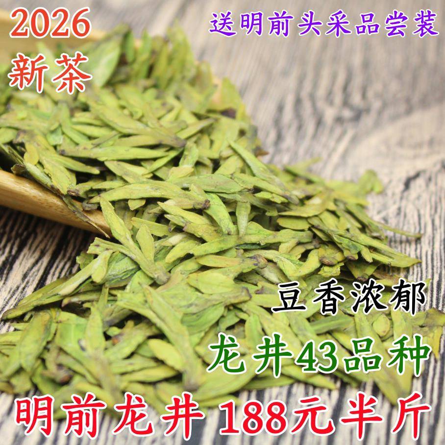 现货龙井2026新茶明前高山龙井茶绿茶茶叶杭州龙井43品种豆香龙井