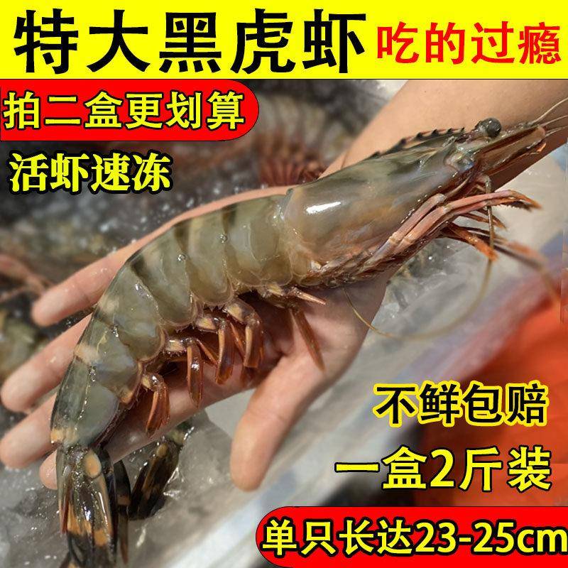 黑虎虾野生大只冷冻生鲜海鲜 礼盒装老虎虾1000g 江苏产
