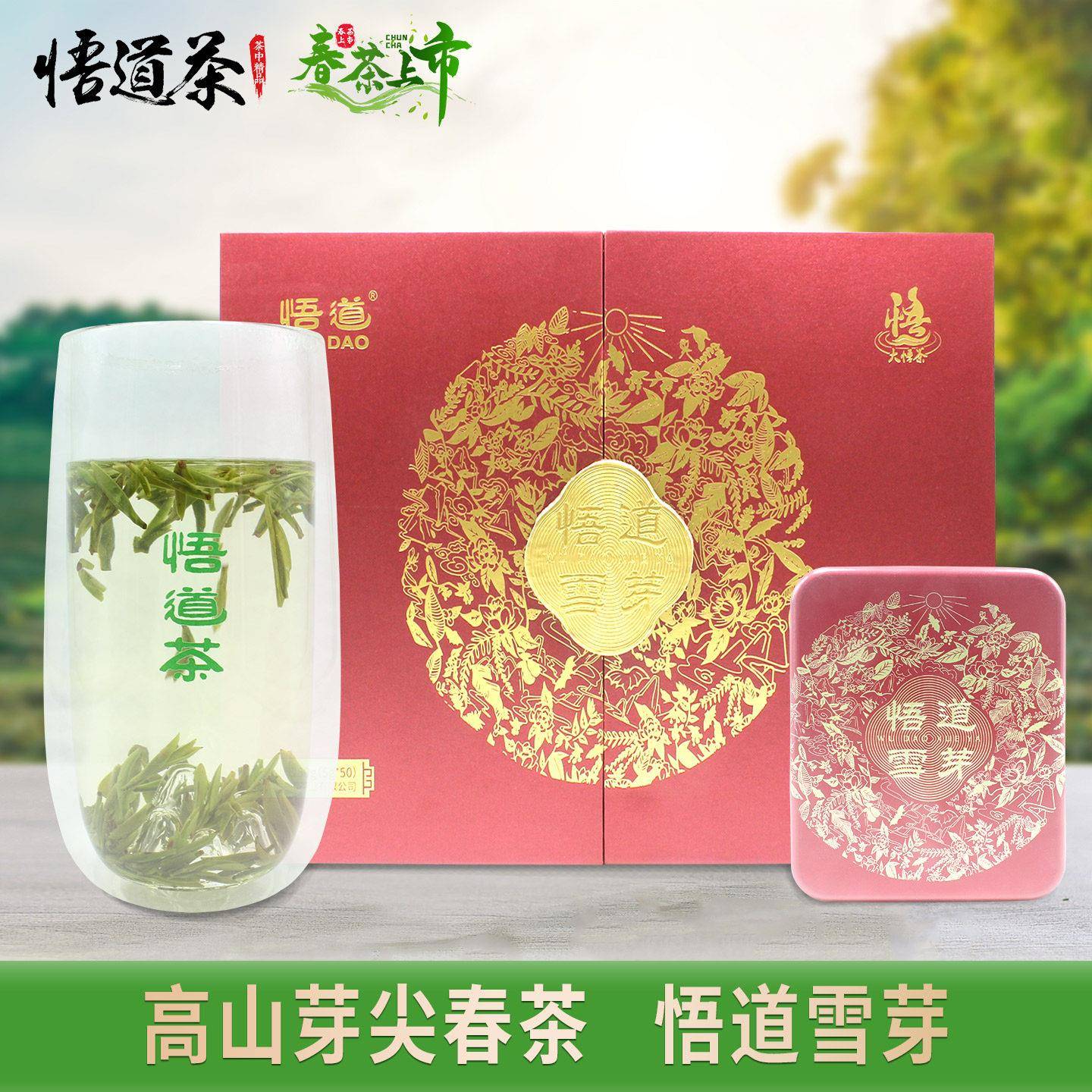 悟道雪芽2026年新茶高山芽尖春茶大悟柏园黄龙寺精品绿茶特产礼品