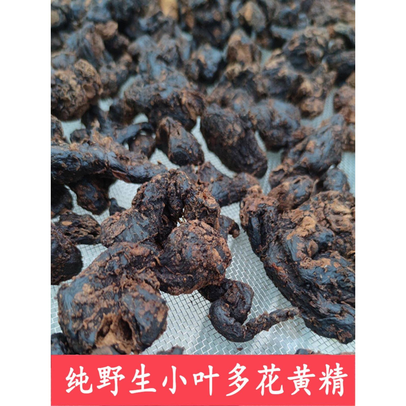 秦岭野生黄精九蒸九制 小叶多花黄精九蒸九制黄精 新鲜高品质图片