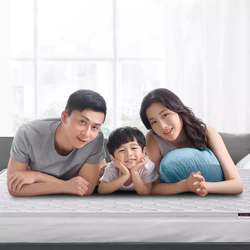 榻榻米床垫1米2单人床垫1米5硬垫子儿童席梦思可定制环保椰棕床垫