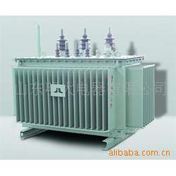 三相油浸式变压器SH15-100KVA/10KV变400V非晶合金防水无励磁