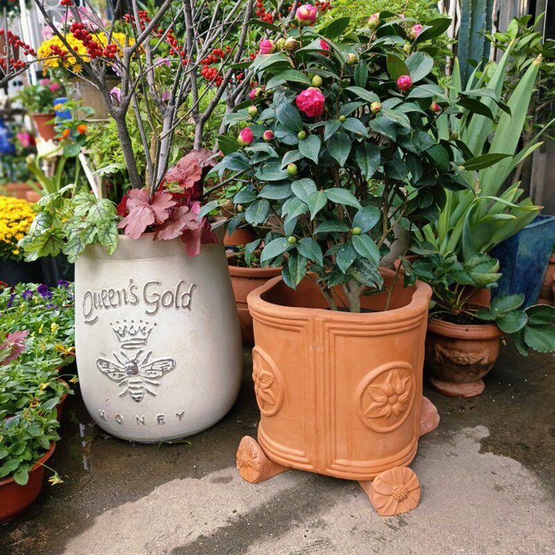 新品 红陶 花边四面铁线莲陶盆 浮雕 高温烧制 透气耐用粗陶花盆