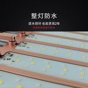 LEDSTAR AQ-N WRGB光谱LED智能植物培育灯LED全光谱水草灯app控制