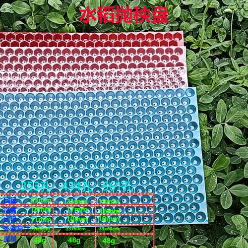 包邮水稻育苗盘 手工抛秧盘育秧苗盘加厚塑料434孔353孔561孔育秧