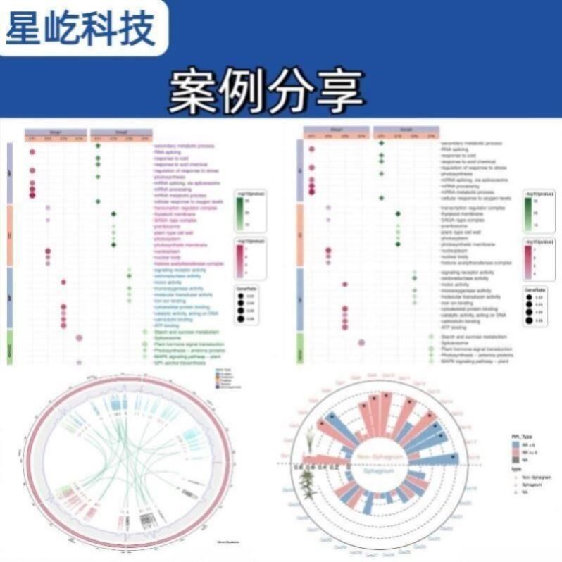 生信分析代做甲基化TCGAGEO数据服务医学单细胞测序中复方定制