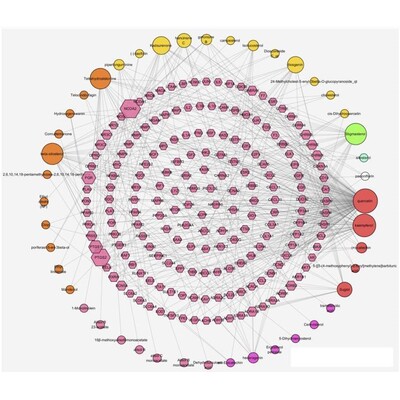 网络毒理学,网络药理学,string,cytoscape,药物靶点,kegg通路