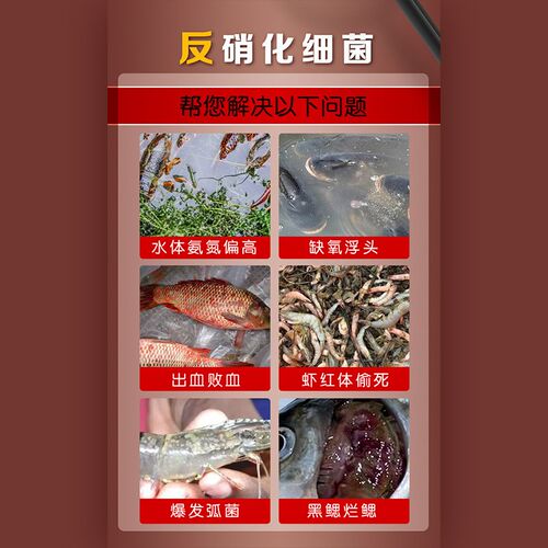 硝化细菌水产养殖专用生物降氨氮亚硝酸盐调水净水反鱼池消化细菌