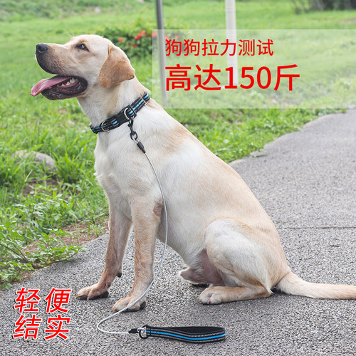 防咬钢丝牵引绳遛狗绳轻便耐磨不勒手金毛拉布拉多绳子大中小型犬