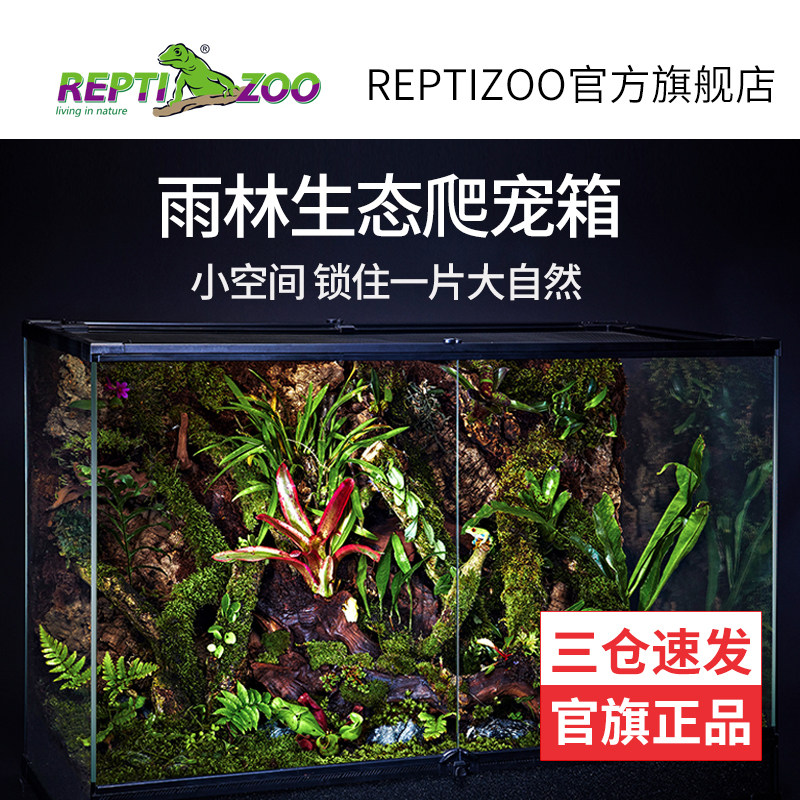 Reptizoo生态雨林缸水陆缸超白爬宠饲养箱玻璃热带植物造景玩酷缸