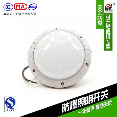 免维护LED三防灯上海新黎明国标FZD1300 20W~80W