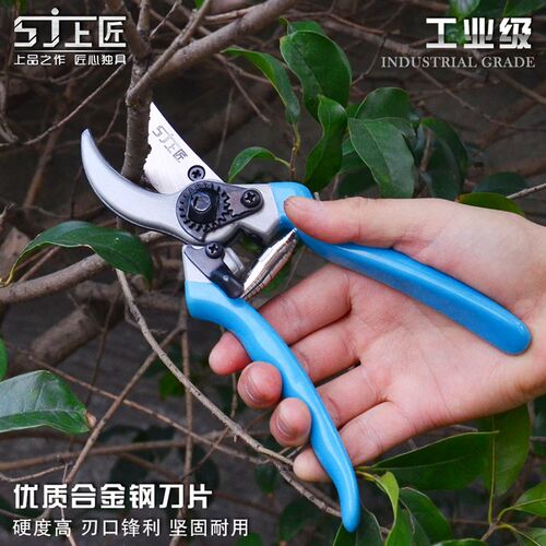 上匠工具树枝剪 园艺剪 园林剪摘果剪修花剪刀果枝剪修枝剪厨房剪