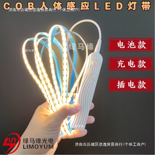 智能人体感应COB灯带USB充电
