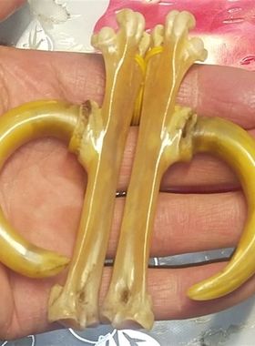 文玩鸡爪骨把件鸡蹬子手工制作传统骨玩抓钱手老鸡拐子盘玩骨艺