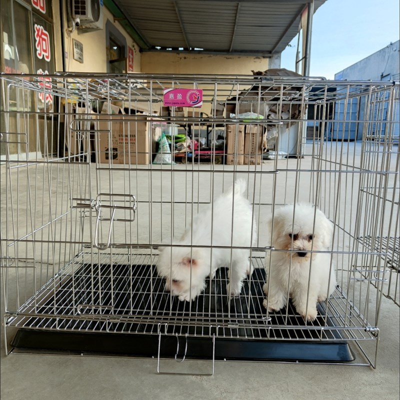 嘉盈出口款不锈钢可折叠狗笼猫笼免笼宠物笼博美中小型犬带厕所