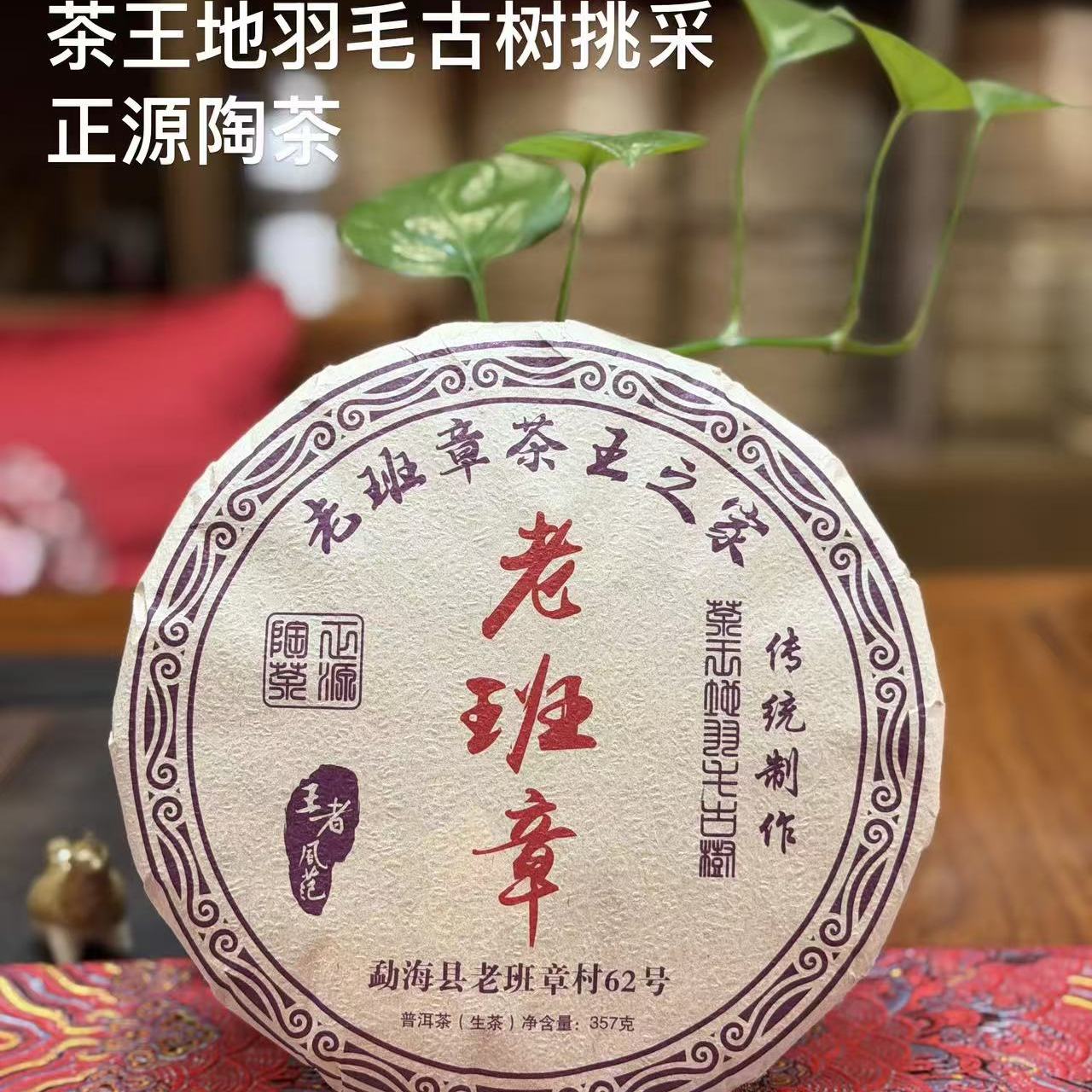 2026年头春茶王地羽毛老班章