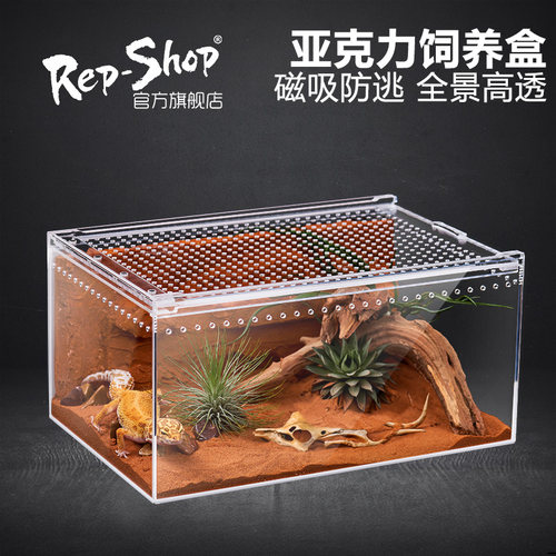 爬宠亚克力饲养盒 蜥蜴蜘蛛专用生态缸 适用于寄居蟹甲虫饲养箱