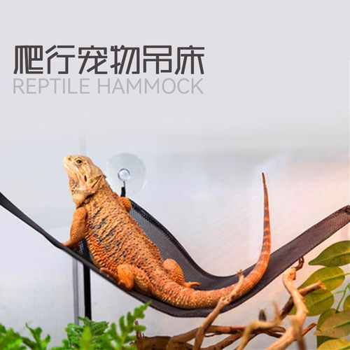爬宠鬃狮守宫蜥蜴鸟吊床晒背秋千床自然造景三角形攀爬行吊床