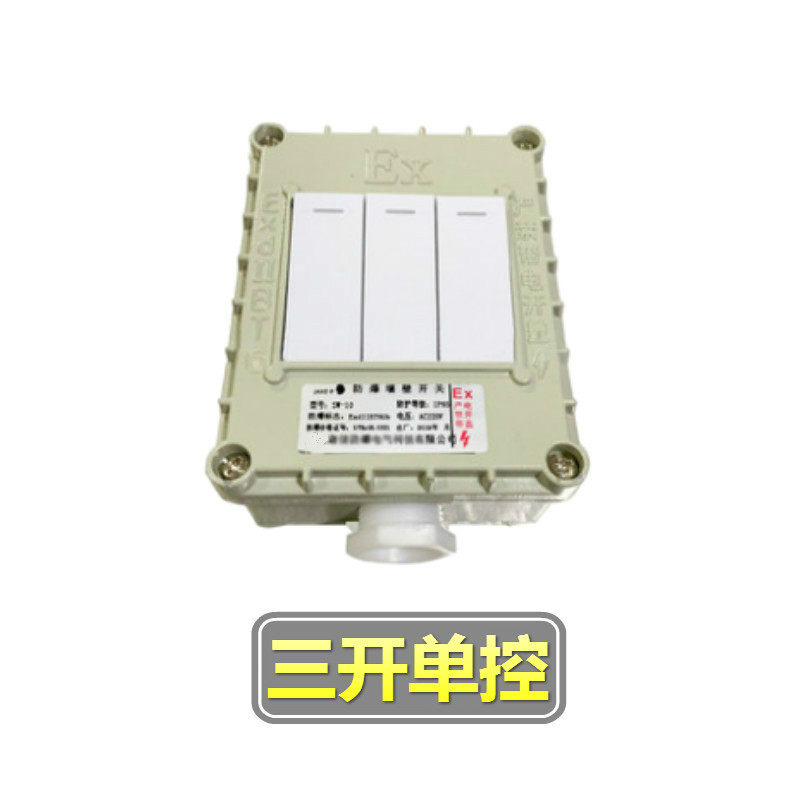 隆誉 防爆开关220V10A墙壁插座明装按钮照明控制86型单联电源开关