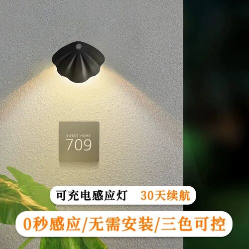 充电人体感应灯酒柜展示柜走廊过道入户门牌装饰画墙壁灯led床头