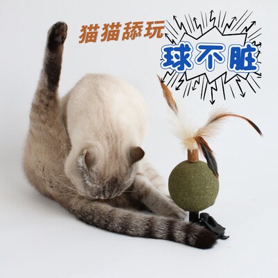 猫薄荷球木天蓼自嗨解闷猫咪幼猫玩具天然高纯度超大舔舔乐棒棒糖