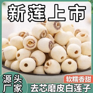 活动优惠【买二送一】新货湘莲子干货去芯莲子无硫磨皮莲子无心2N