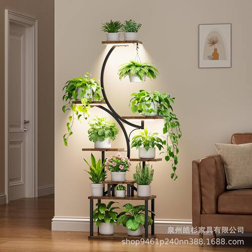 大型升级金属室内植物架8层室内植物架62英寸高的室内植物架花架