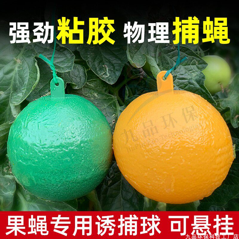 柑橘大实蝇诱蝇球果园粘虫板贴果实蝇药诱粘剂灭果蝇引诱剂针锋贴