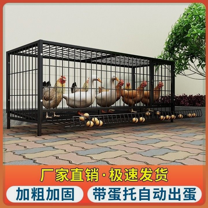 鸡下蛋的笼子折叠家用养殖加粗兔子笼鸭笼鹅笼狗笼自动滚蛋鸡笼