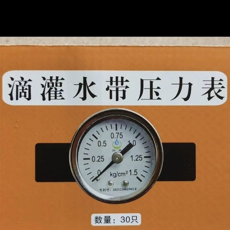 (两只装)滴灌水带压力表支管测压表滴灌压力表压力表