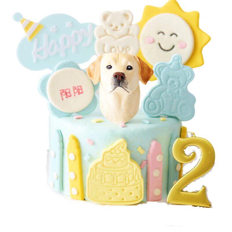 宠物狗狗猫咪生日蛋糕零食4寸泰迪法斗柯基斤金毛含头像配饰通用