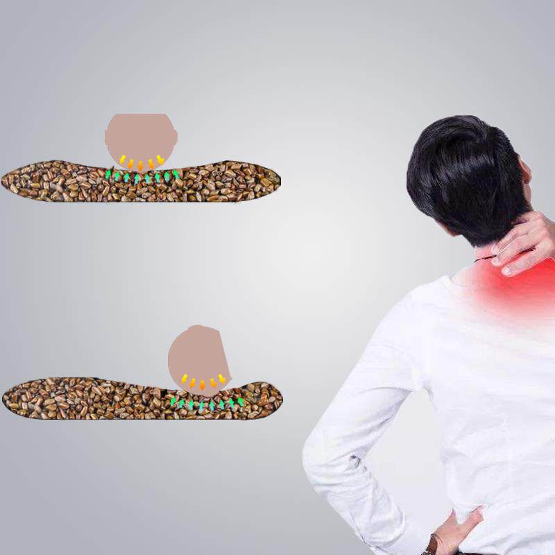 纯决明子枕头全填充炒熟的枕芯成人单人学生老人四季通用睡眠硬枕
