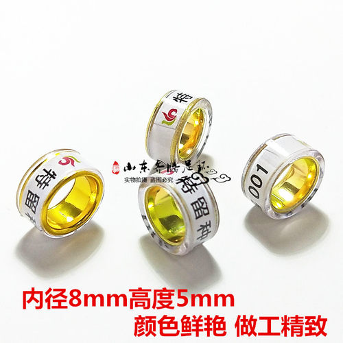 特留种鸽环鸽子足环定制信鸽脚环 鸽环鸽子用品俱乐部特比副环