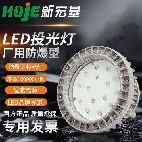 LED防爆灯工厂房车间照明灯灯罩加油站灯仓库灯隔爆型灯专用