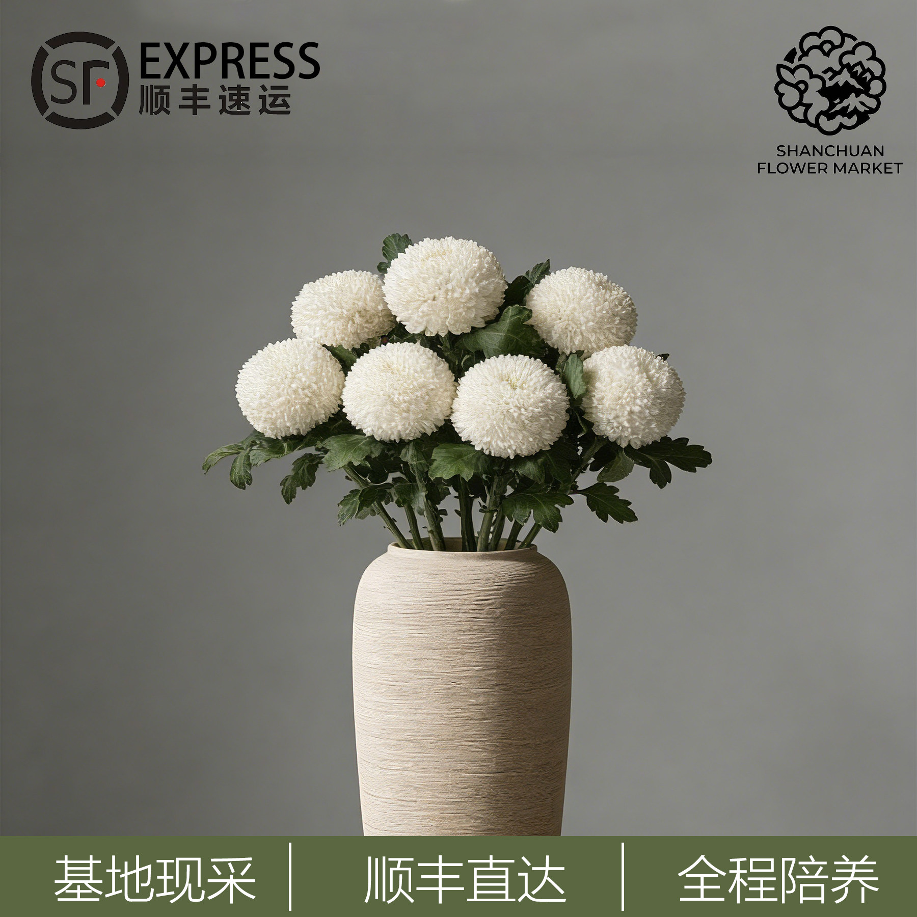 顺丰冷链精选鲜切乒乓菊