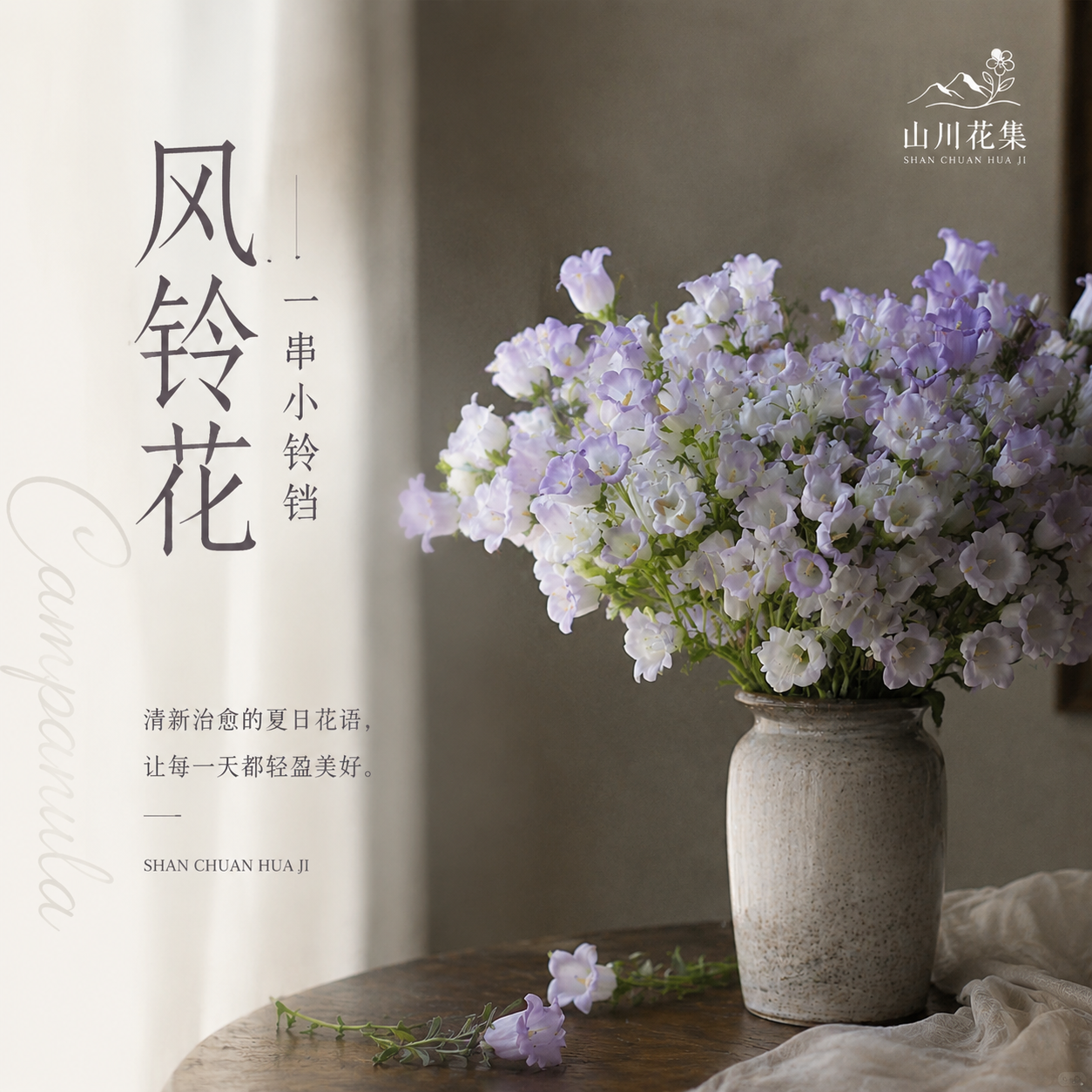冷链云南直发A级风铃花长花期